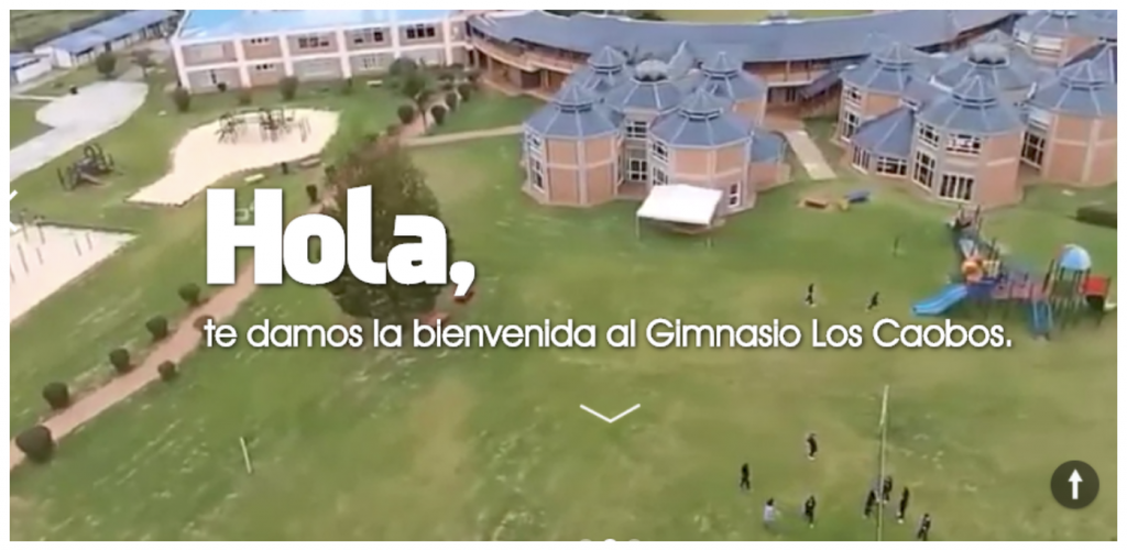 Screenshot of Gimnasio Los Caobos website.