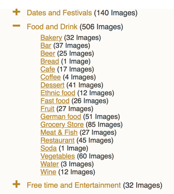 Demonstrates sub-categories of images.