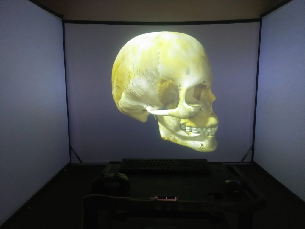 Figure 2 View of a 3D skull in VITaL.