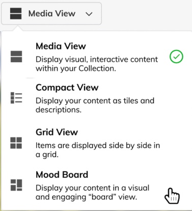 Display options: media view, compact view, grid view, mood board