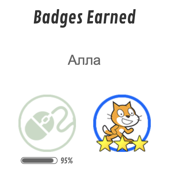 Picture 17 - Badge Tracker
