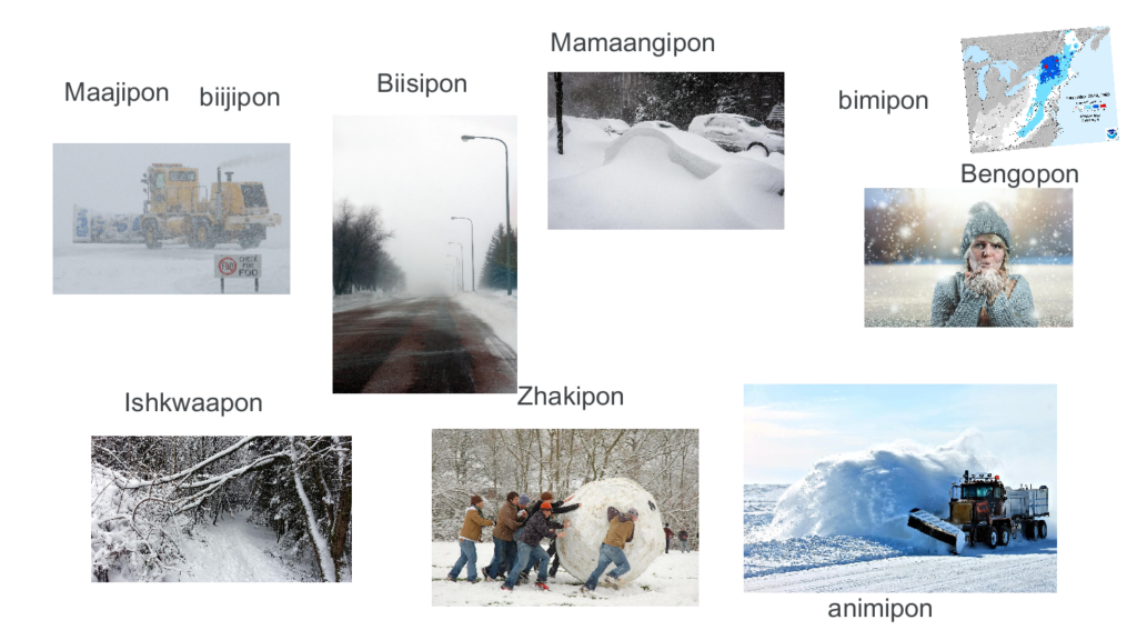 Picture 4 - Jamboard frame with pictures of snow and text boxes with snow verbs  - Maajipon, bijiipon, biisipon, mamaagipon, bimipon, bengopon, ishkwaapon, zhakipon, animipon