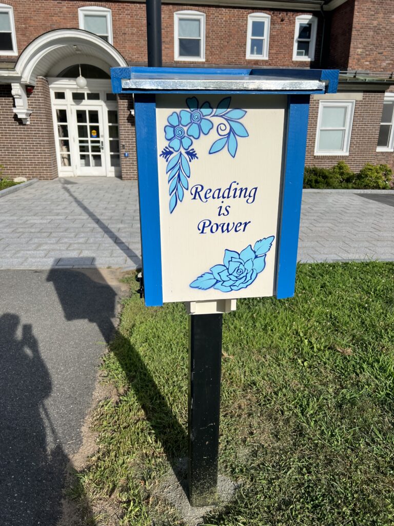 Picture 9 - Reading is power - little free library in front of a building with words on the side: "Reading is Power"
