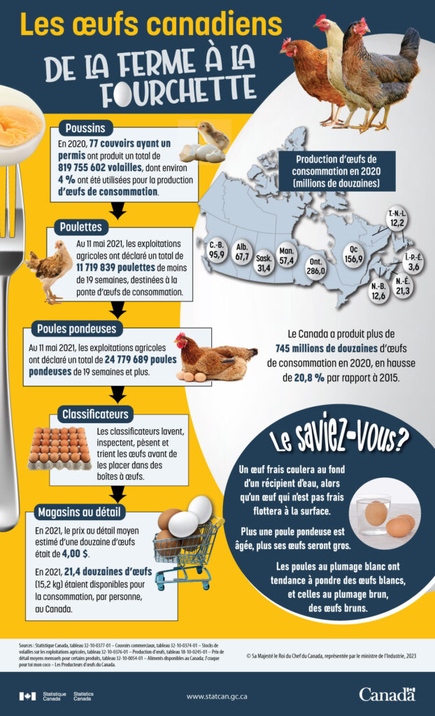 Picture 6 - "Canadian eggs, from farm to fork", an infographic from Statistics Canada in French