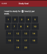 Picture 4 - Setting a study goal 