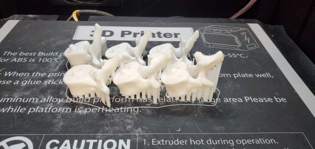 Picture 5 - 3D-printed Bones Used in a Forensic Anthropology-focused EER (The Case of X)