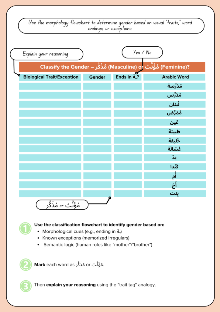 Picture 1 - This handout is designed for students studying biology, and it relates specifically to the gender lesson in Arabic - Use the morphology flowchart to determine gender based on visual "traits", word endings, or exceptions. has one column that says biological trait/exception, and "explain your reasoning", then other columns: gender, ends in, and Arabic word. on the bottom are 3 steps: 1. use the classification flowchart to identify gender based on: morphological cues, known exceptions, then explain your reasoning. 2. mark each word as [Arabic word] or [Arabic word]. 3. Then explain your reasoning using the "trait tag" analogy.