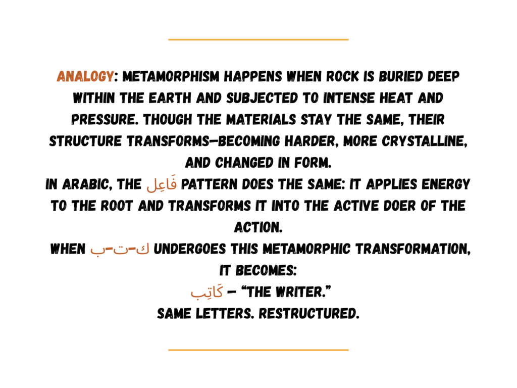 Picture 3 - These flashcards are part of a deck designed to explain the different root patterns to students studying geology. Analogy: Metamorphism happens when rock is buried deep within the earth and subjected to intense heat and pressure. though the materials stay the same, their structure transforms - becoming harder, more crystalline, and changed in form. In Arabic, the [Arabic word] pattern does the same: it applies energy to the root and transforms it into the active doer of the action. When [Arabic word] undergoes this metamorphic transformation, it becomes: [Arabic word] - "the writer." same letters. restructured.