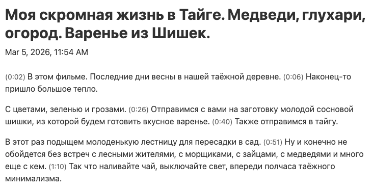 Picture 3 - Transcript with timestamps - has a transcript in Russian with a title, date, transcript in paragraphs with time noted every 10-20 seconds.